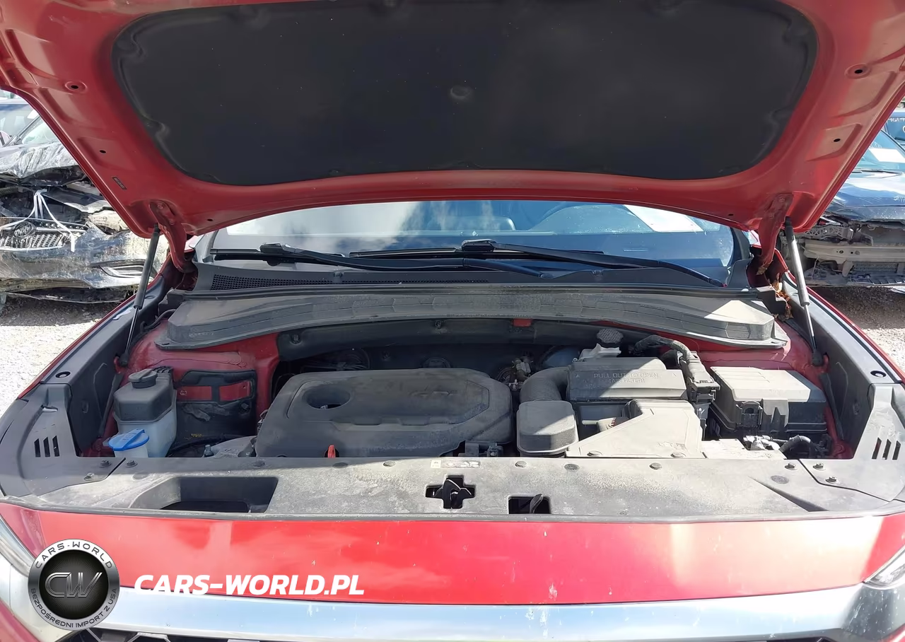 2020 Hyundai Santa Fe Sel VIN:5NMS3CAD9LH181753 - 10
