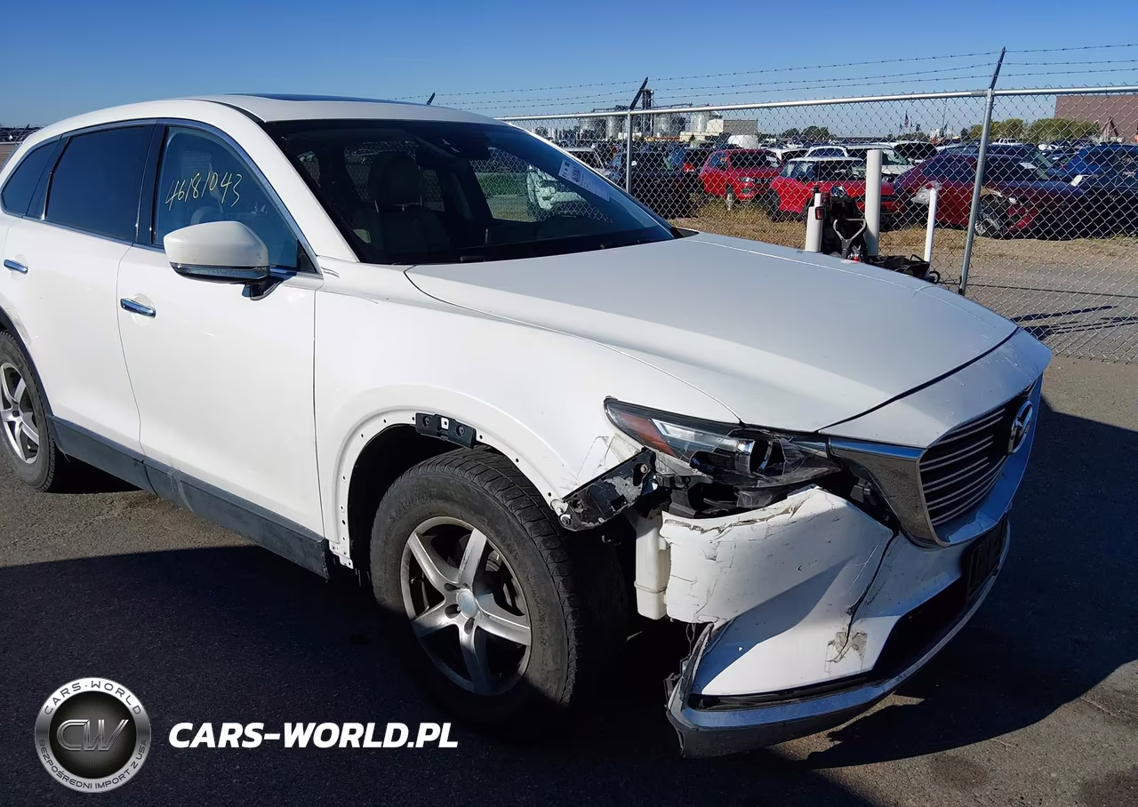2016 Mazda Cx-9 Touring VIN:JM3TCBCY0G0110257 - 6