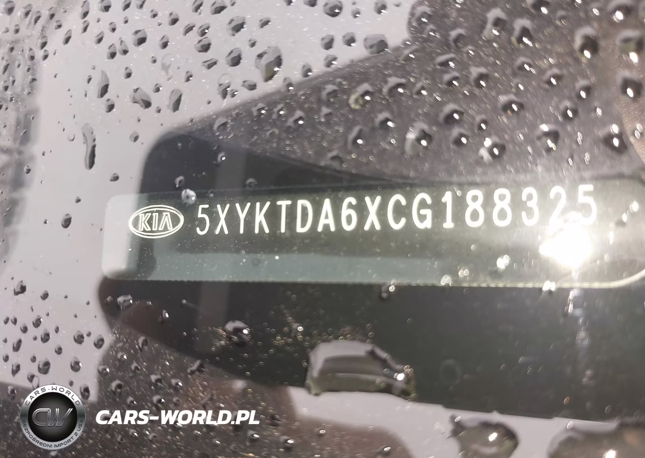 2012 Kia Sorento Lx VIN:5XYKTDA6XCG188325 - 17