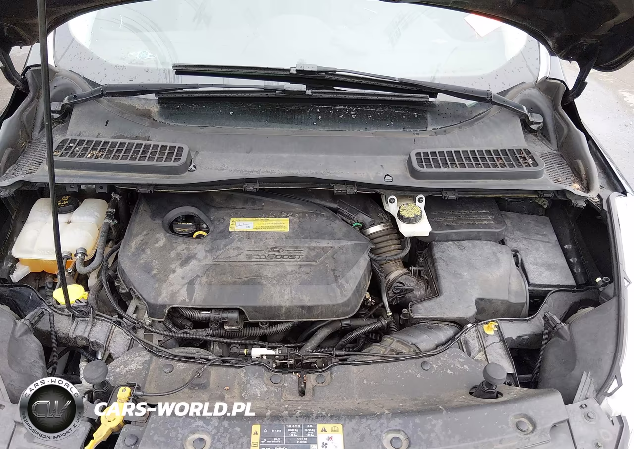 2014 Ford Escape Se VIN:1FMCU0GX6EUB77796 - 10