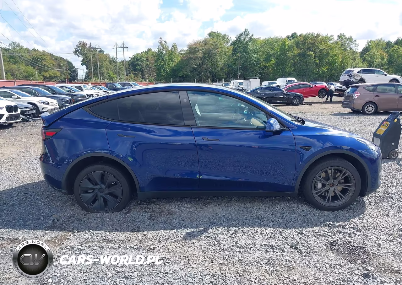 2024 Tesla Model Y Long Range Dual Motor All-Wheel Drive VIN:7SAYGDEE4RA295046 - 13