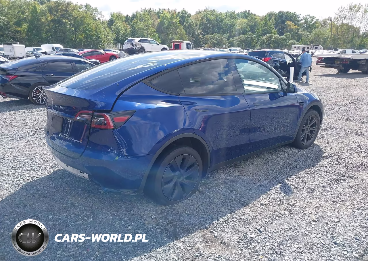 2024 Tesla Model Y Long Range Dual Motor All-Wheel Drive VIN:7SAYGDEE4RA295046 - 4