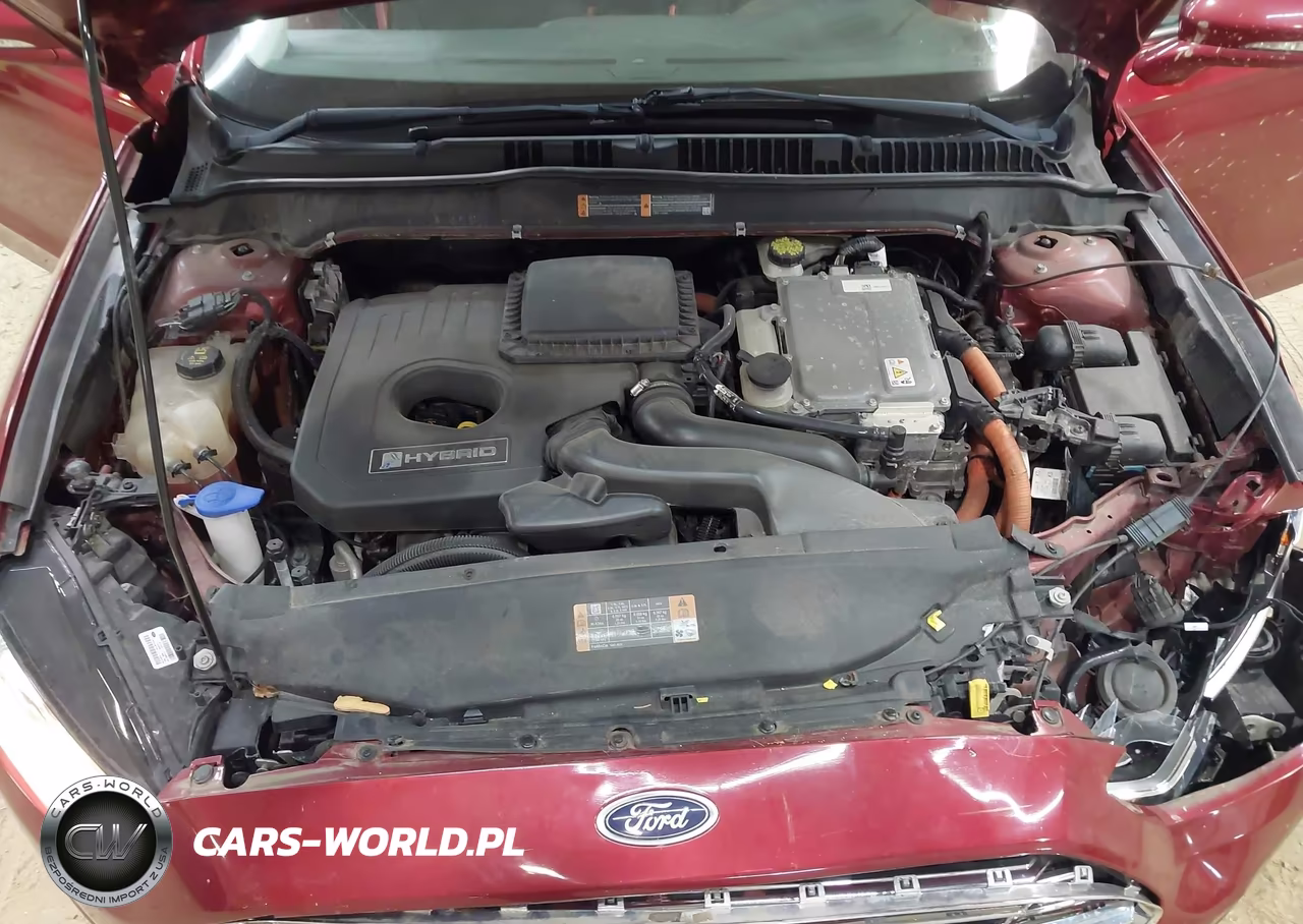 2016 Ford Fusion Hybrid Se VIN:3FA6P0LU7GR231935 - 10