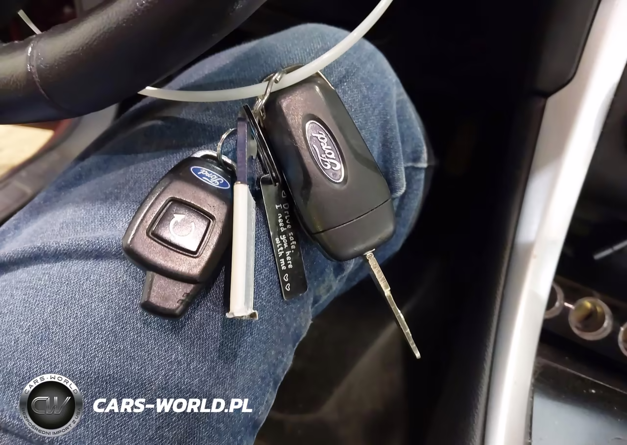 2016 Ford Fusion Hybrid Se VIN:3FA6P0LU7GR231935 - 11