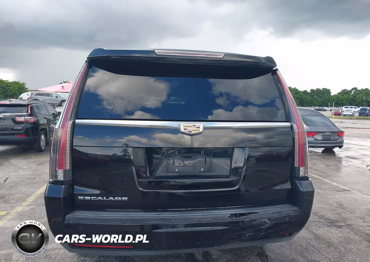 2015 Cadillac Escalade Esv Luxury VIN:1GYS3SKJ8FR544049 - 16