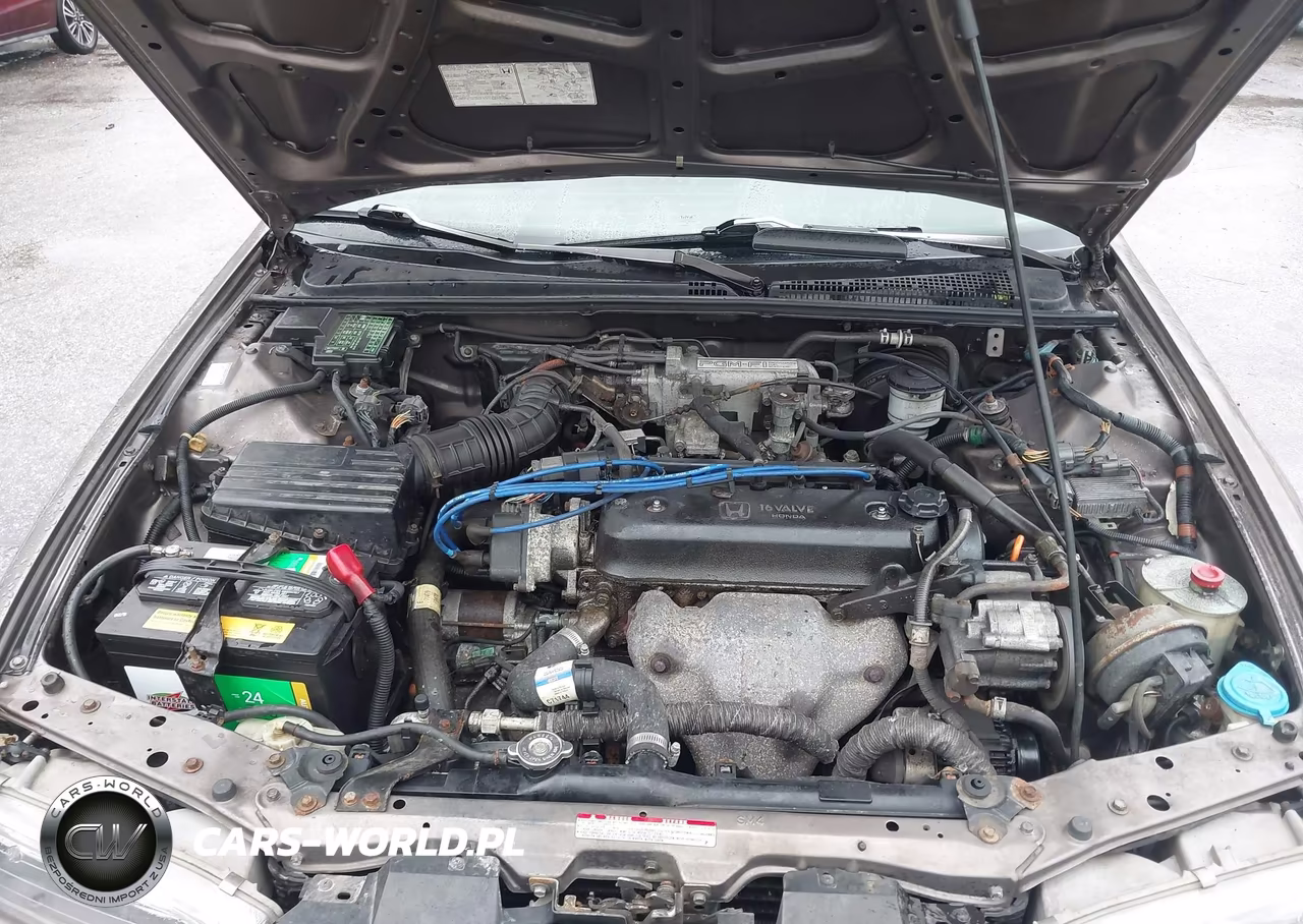 1992 Honda Accord Lx VIN:1HGCB765XNA067162 - 10
