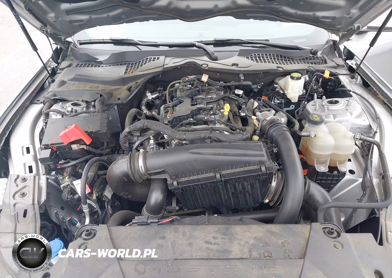 2024 Ford Mustang Ecoboost Fastback VIN:1FA6P8THXR5122375 - 10