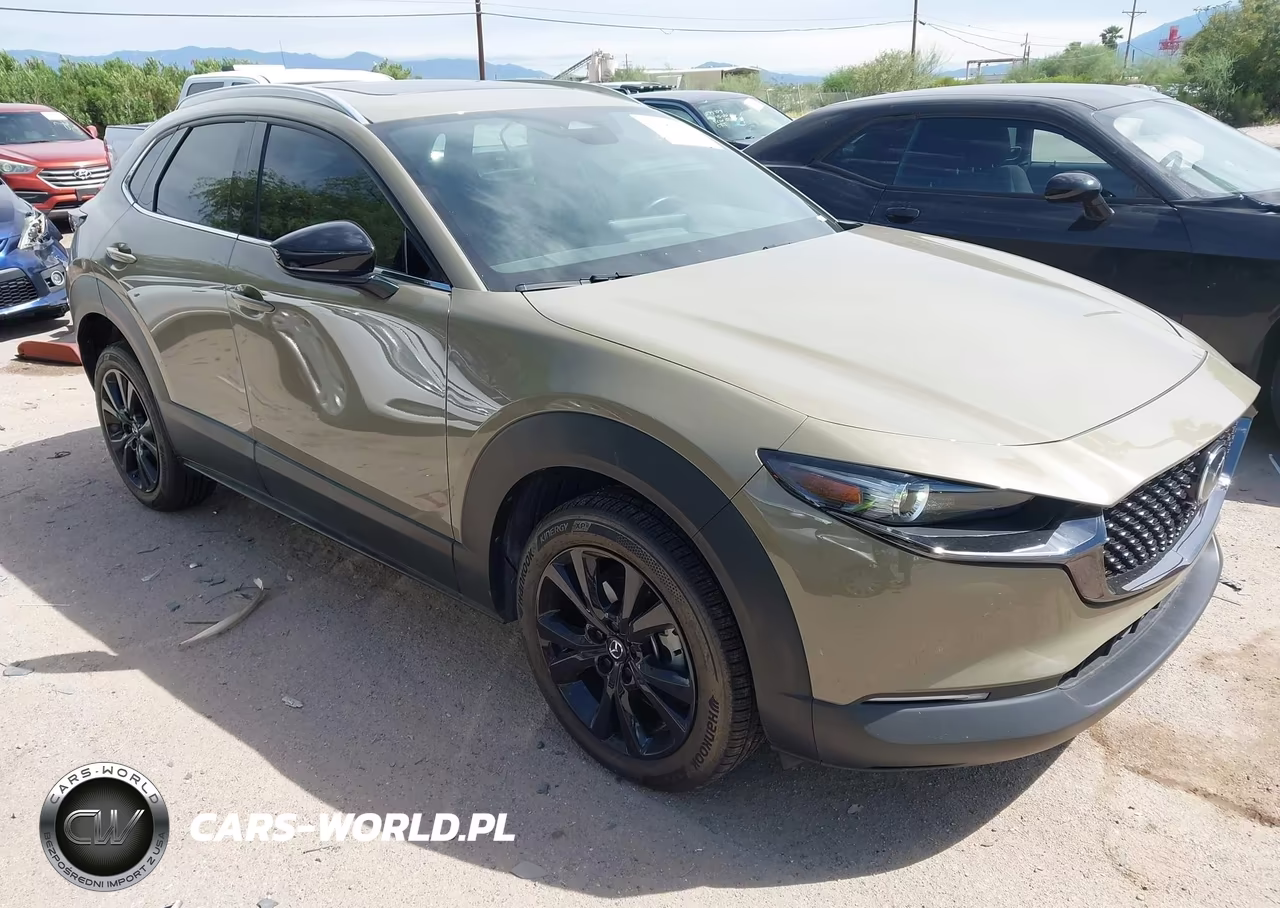 2024 Mazda Cx-30 2.5 Carbon Turbo VIN:3MVDMBXY2RM631404 - 1