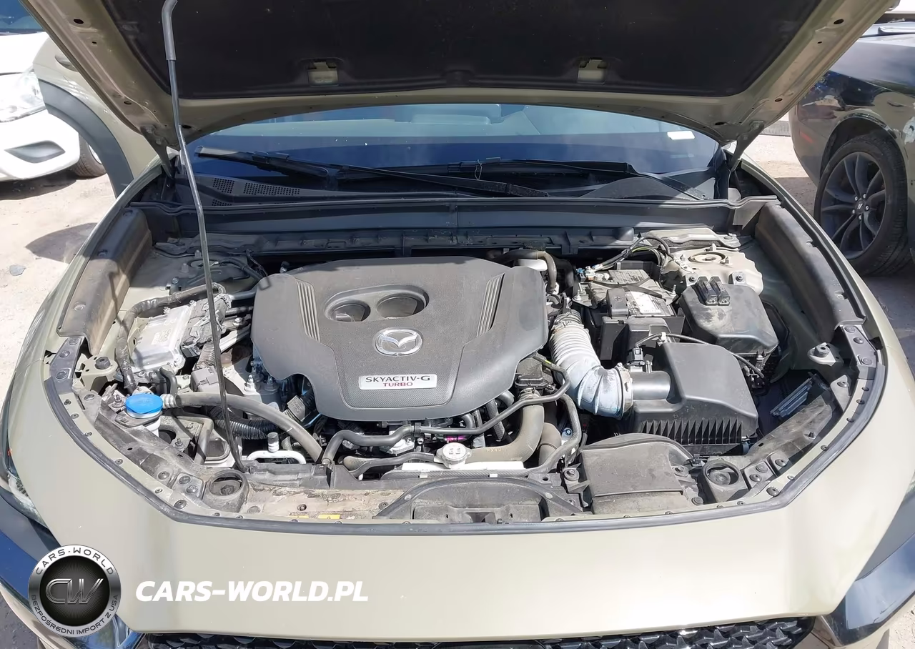 2024 Mazda Cx-30 2.5 Carbon Turbo VIN:3MVDMBXY2RM631404 - 10