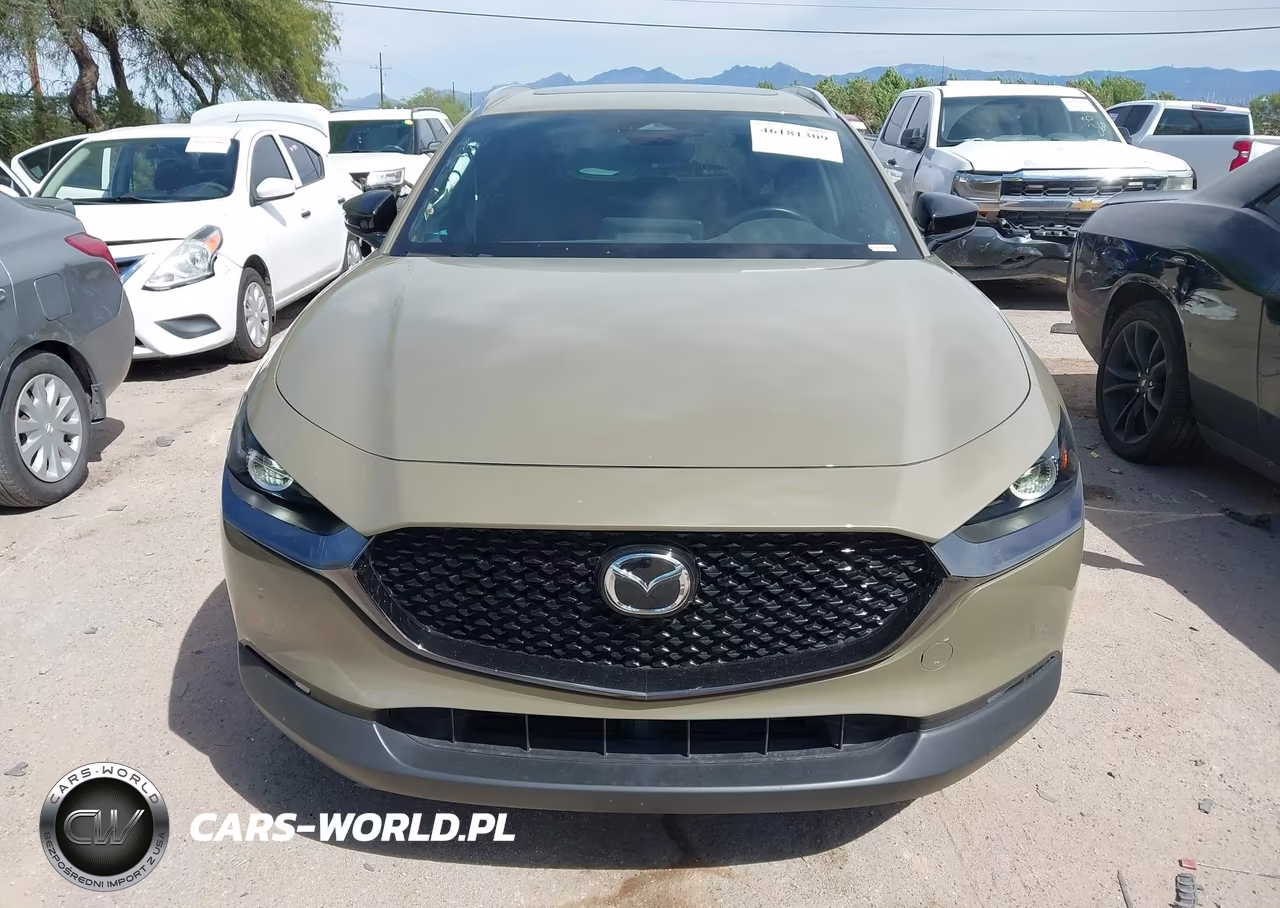 2024 Mazda Cx-30 2.5 Carbon Turbo VIN:3MVDMBXY2RM631404 - 13