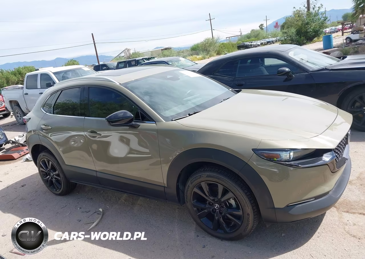 2024 Mazda Cx-30 2.5 Carbon Turbo VIN:3MVDMBXY2RM631404 - 14