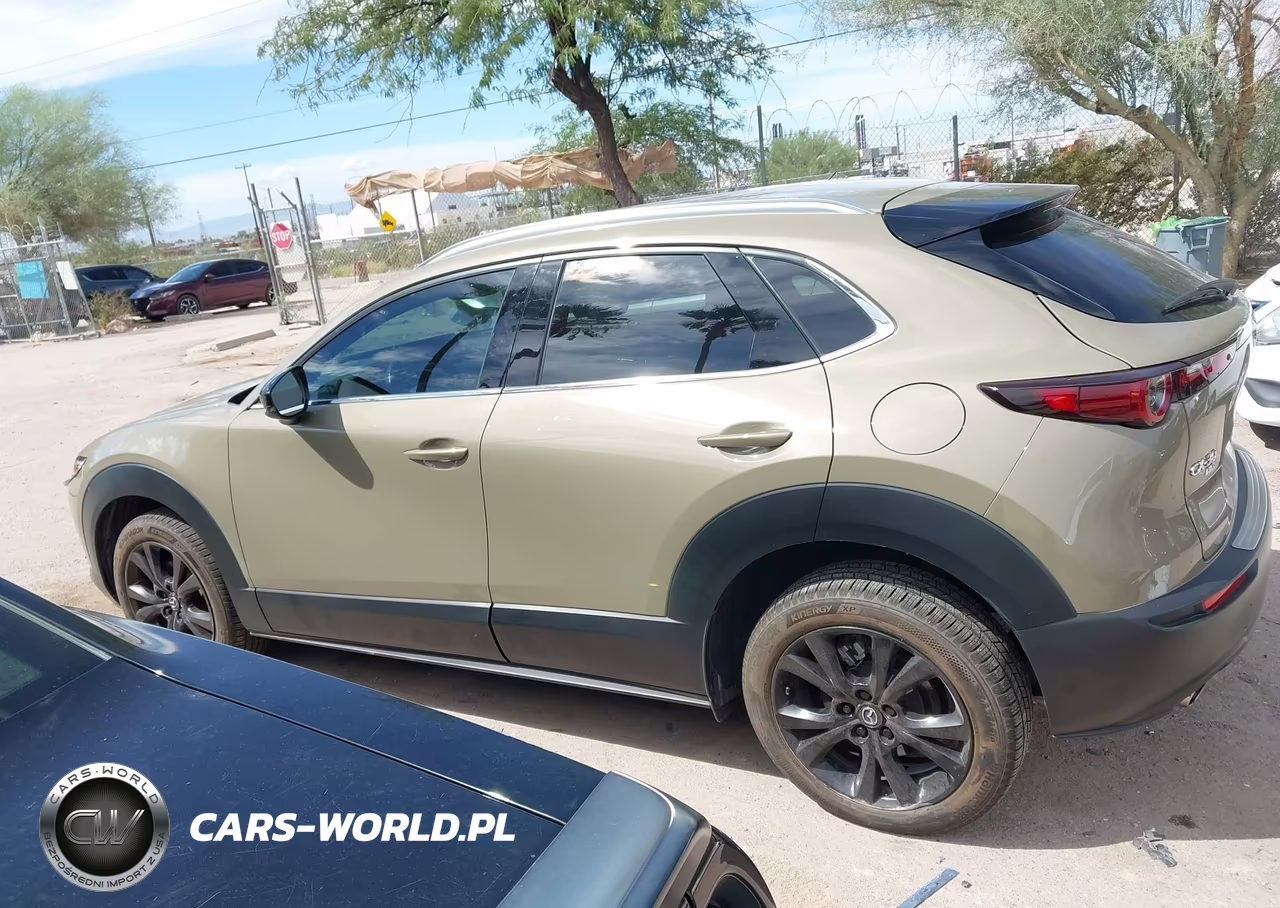 2024 Mazda Cx-30 2.5 Carbon Turbo VIN:3MVDMBXY2RM631404 - 15