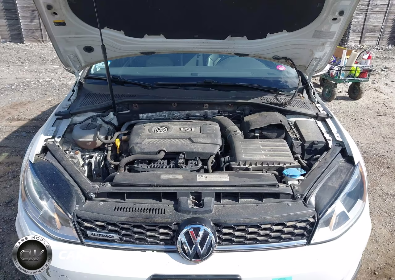 2017 Volkswagen Golf Alltrack Tsi S-Tsi Se-Tsi Sel VIN:3VWH17AU0HM541971 - 10