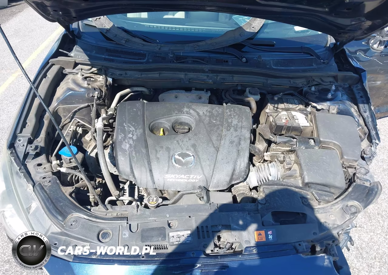 2016 Mazda Mazda3 I Sport VIN:JM1BM1U73G1321884 - 10