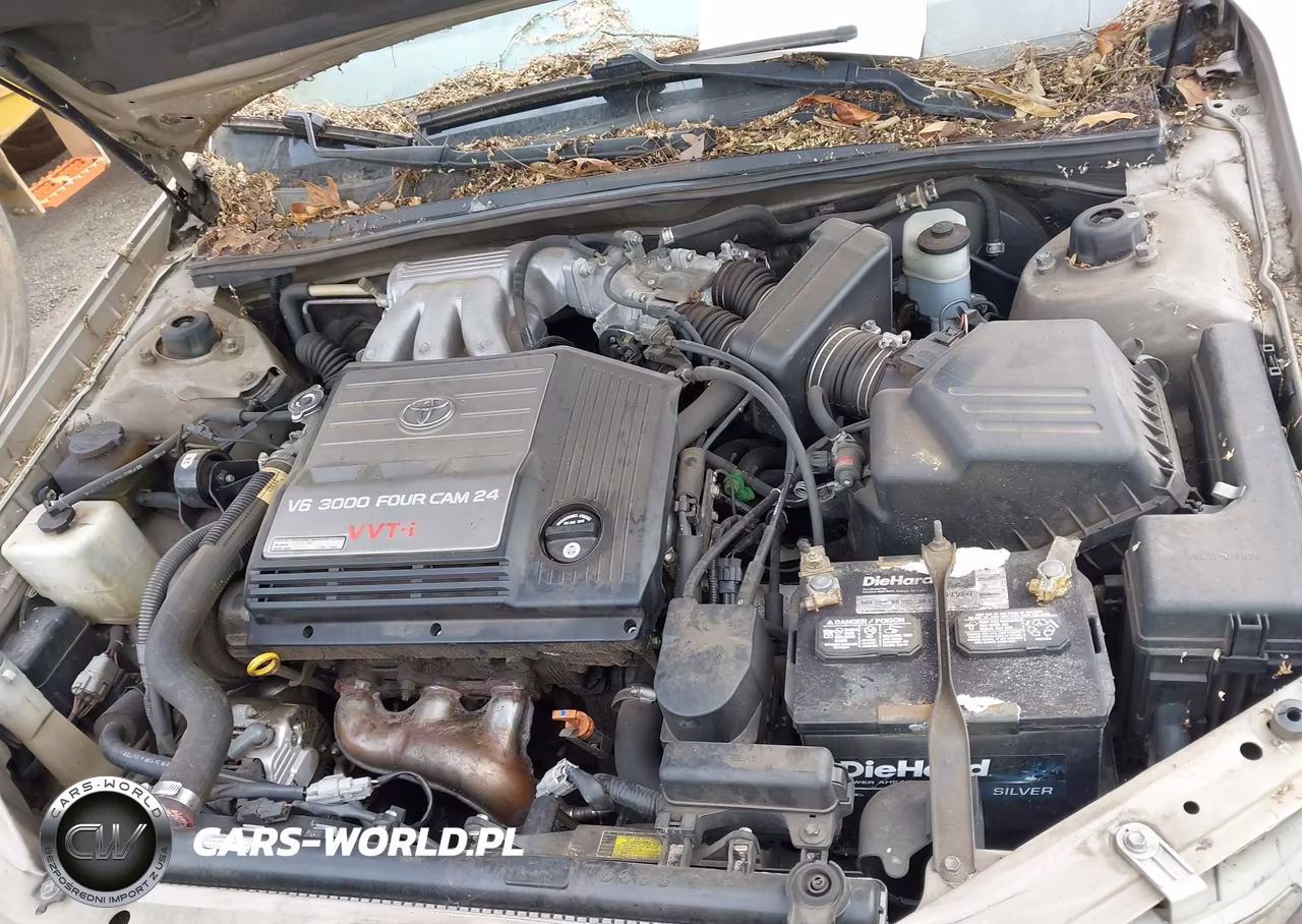 2003 Toyota Avalon Xl VIN:4T1BF28B73U325021 - 10