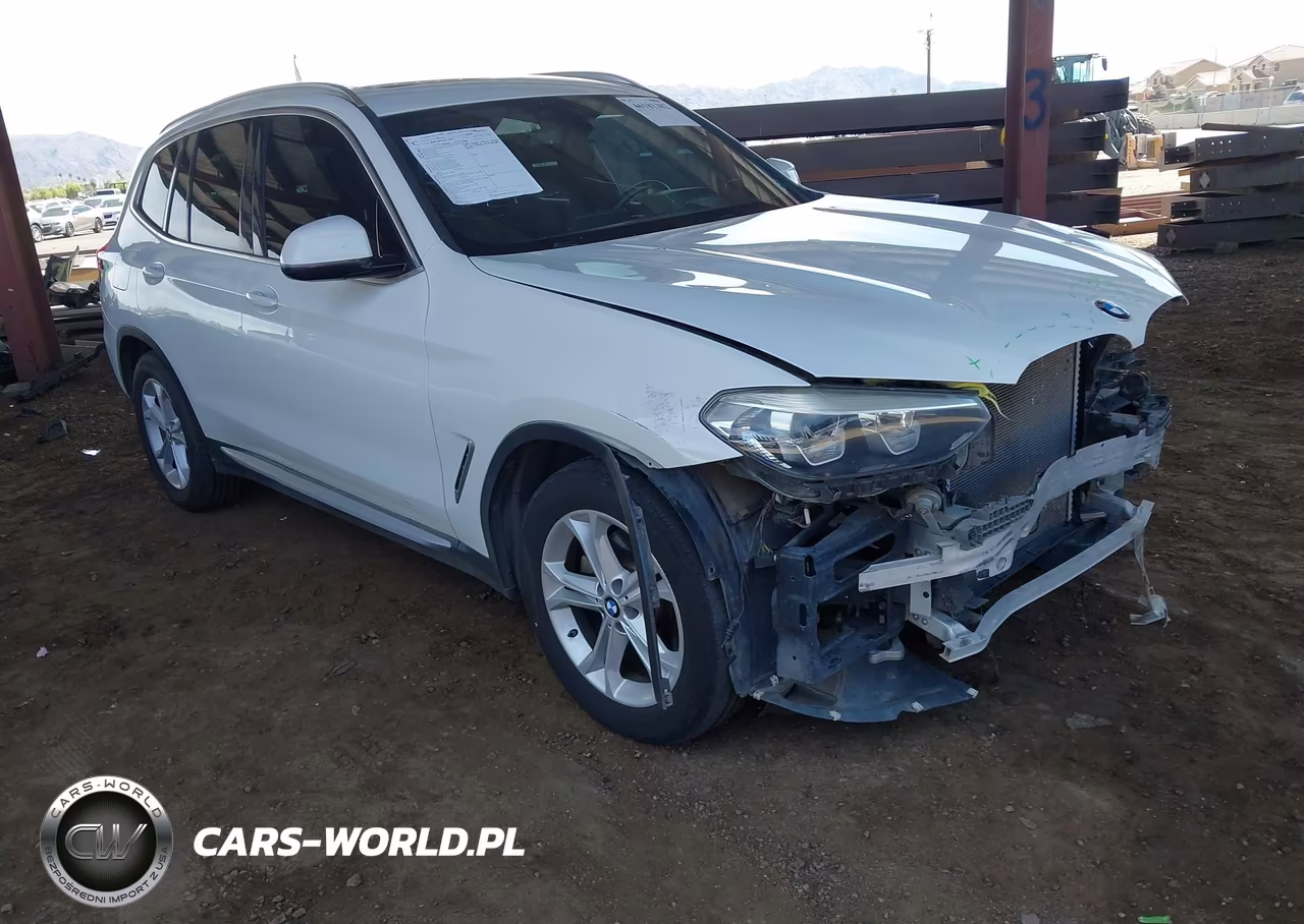 2019 BMW X3 Sdrive30I VIN:5UXTR7C55KLA48518 - 1