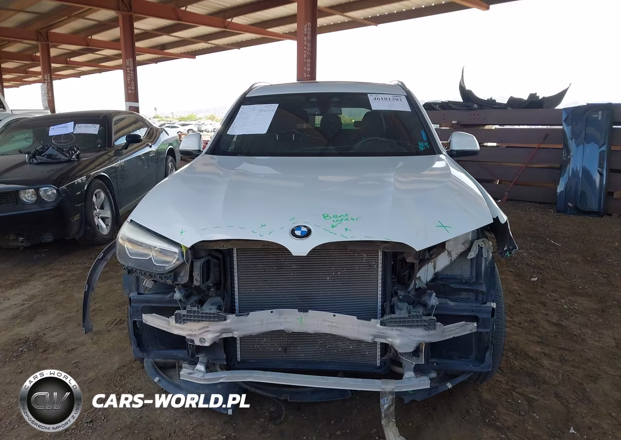 2019 BMW X3 Sdrive30I VIN:5UXTR7C55KLA48518 - 6