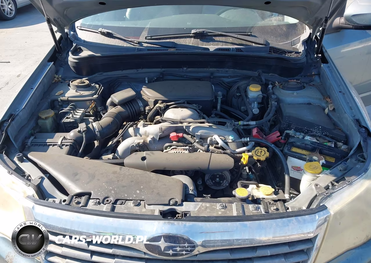 2010 Subaru Forester 2.5X Premium VIN:JF2SH6CC7AH757928 - 10