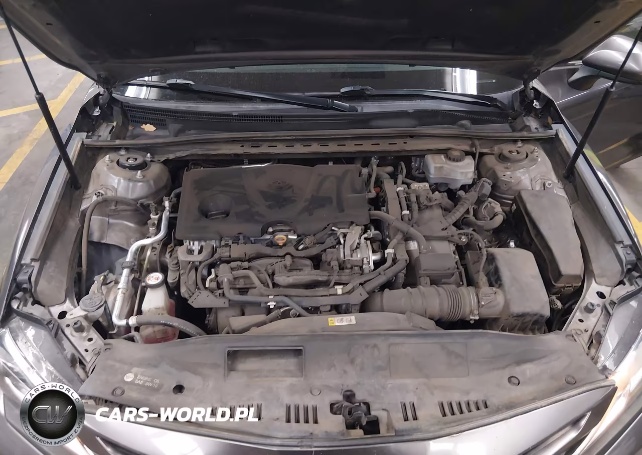 2020 Toyota Camry Se Hybrid VIN:4T1G31AK0LU525211 - 10