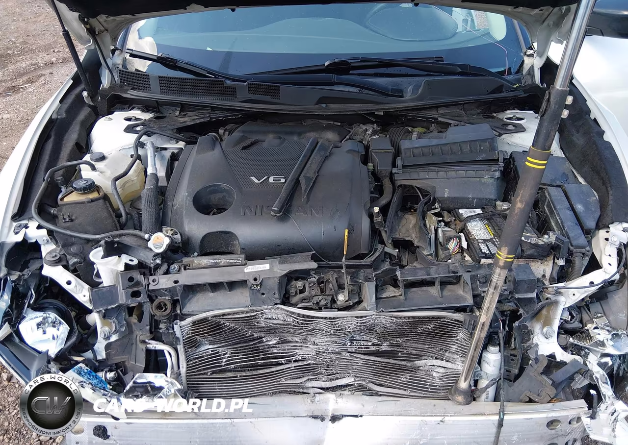 2016 Nissan Maxima 3.5 S VIN:1N4AA6AP1GC415696 - 10