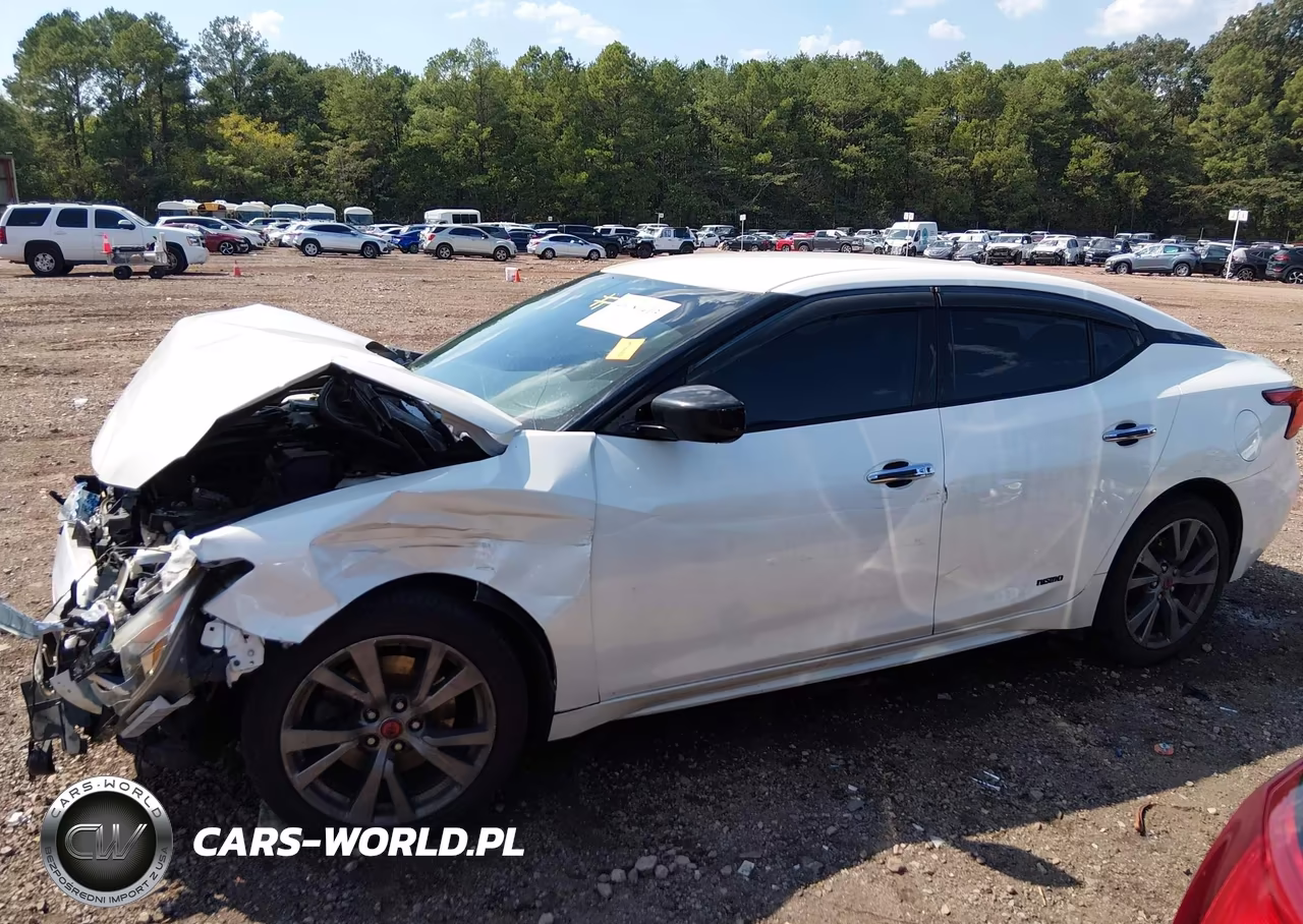 2016 Nissan Maxima 3.5 S VIN:1N4AA6AP1GC415696 - 14