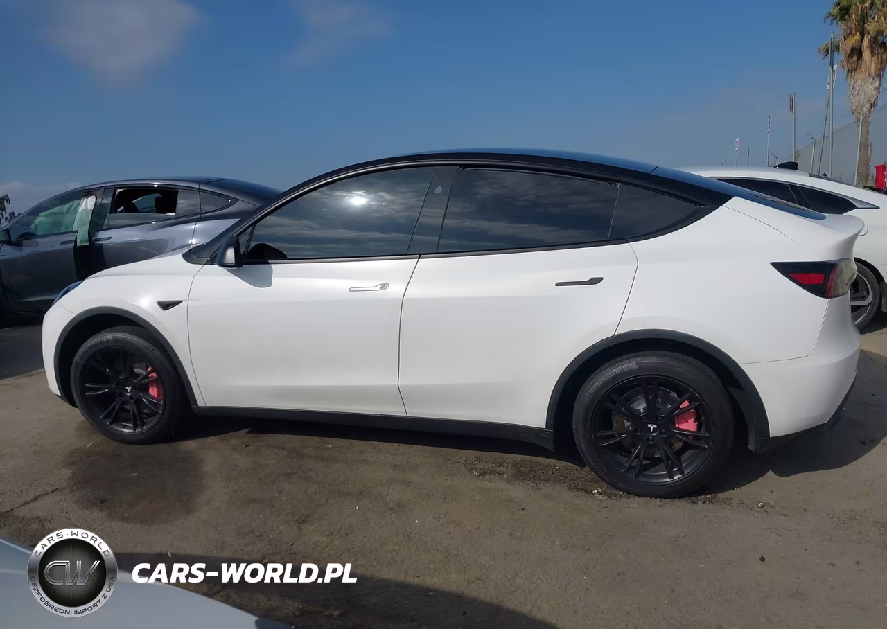 2024 Tesla Model Y Long Range Single Motor Rear-Wheel Drive-Rwd VIN:7SAYGDED8RF092025 - 13