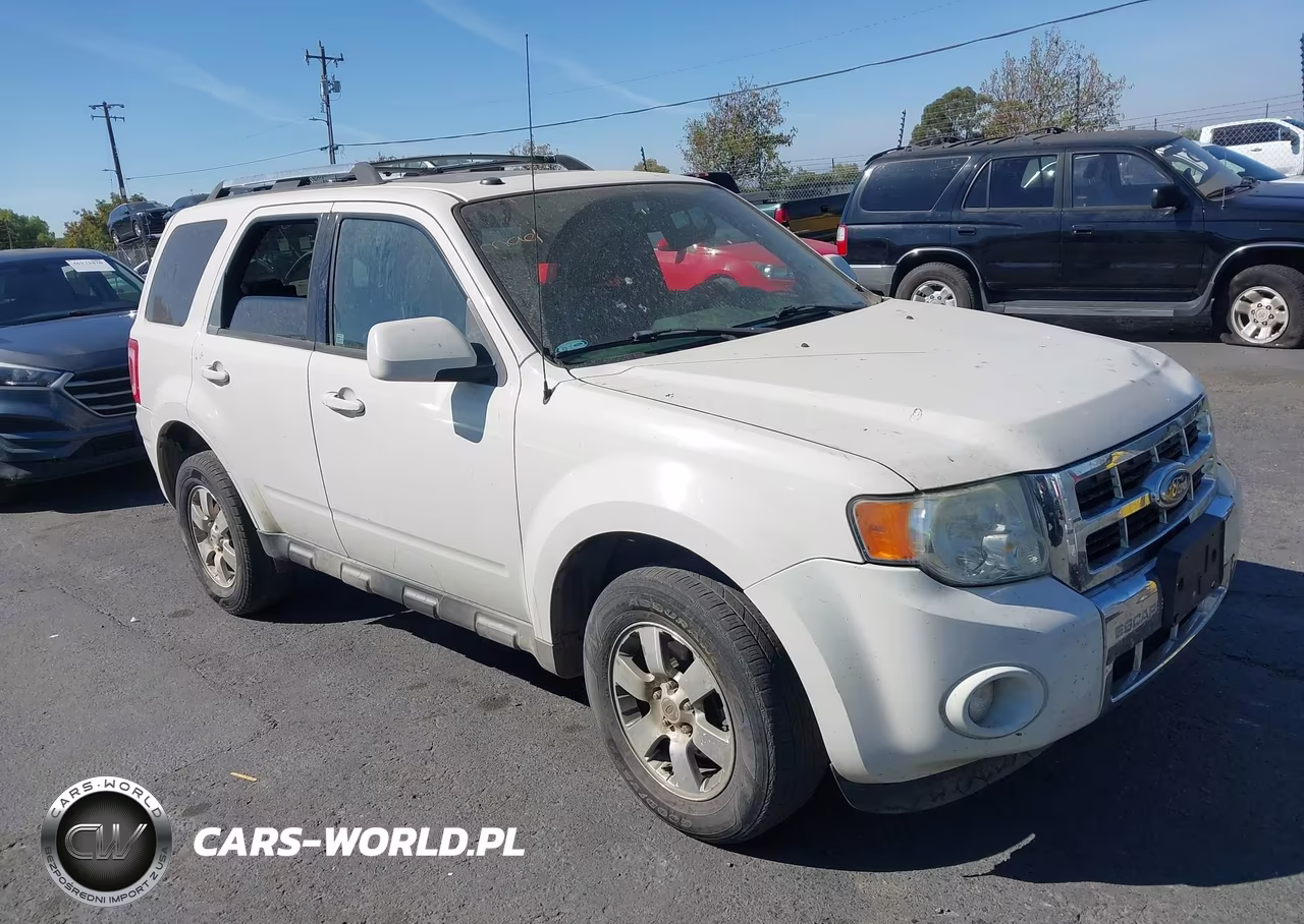 2010 Ford Escape Limited