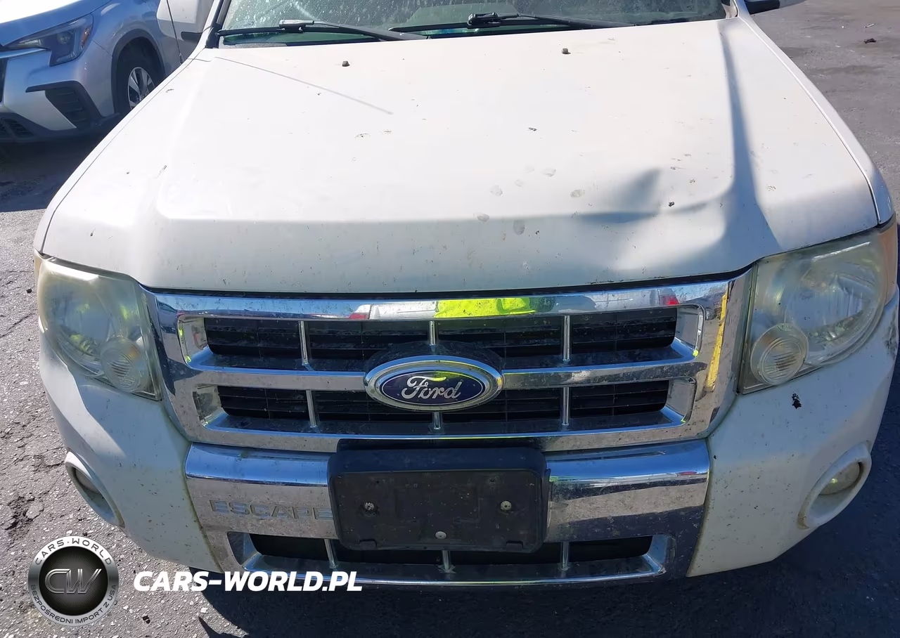 2010 Ford Escape Limited VIN:1FMCU0E7XAKA71974 - 6