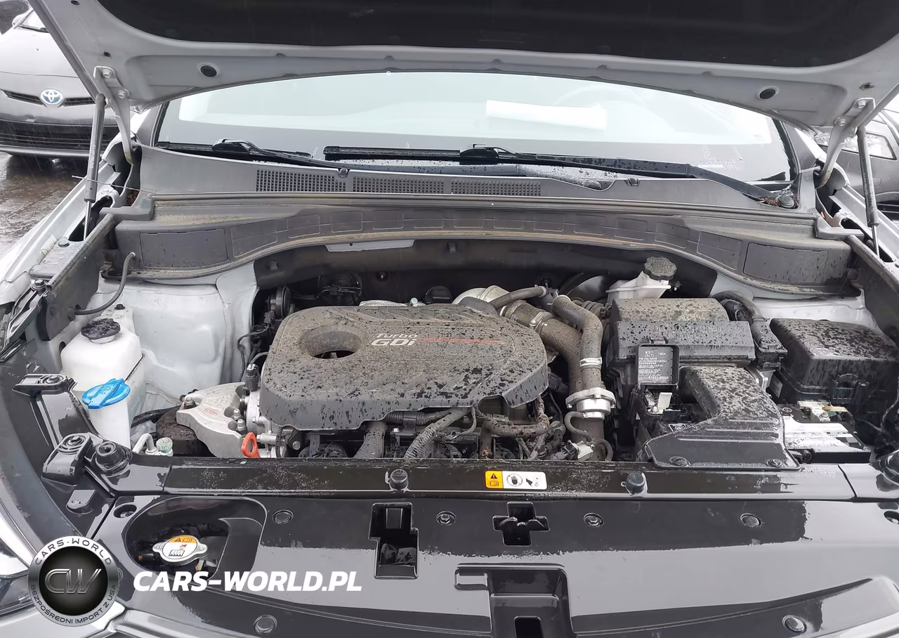 2018 Hyundai Santa Fe Sport 2.0T Ultimate VIN:5XYZW4LA7JG505661 - 10