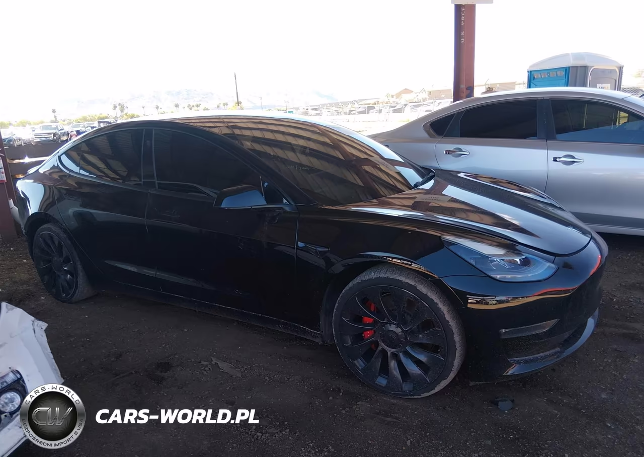 2023 Tesla Model 3 Performance Dual Motor All-Wheel Drive VIN:5YJ3E1EC9PF399011 - 13