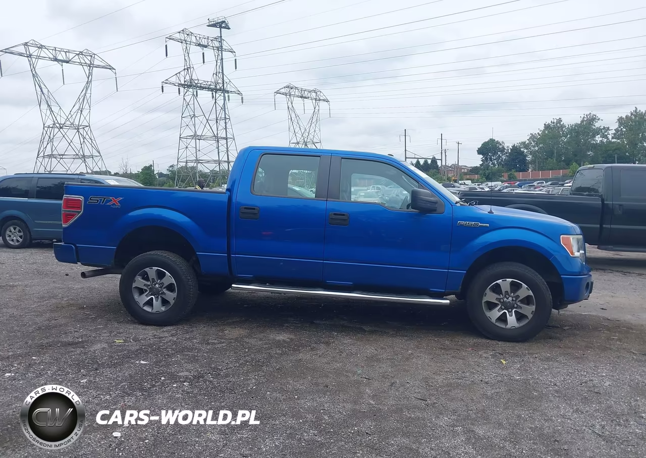 2014 Ford F-150 Stx VIN:1FTFW1EF8EFA54145 - 13