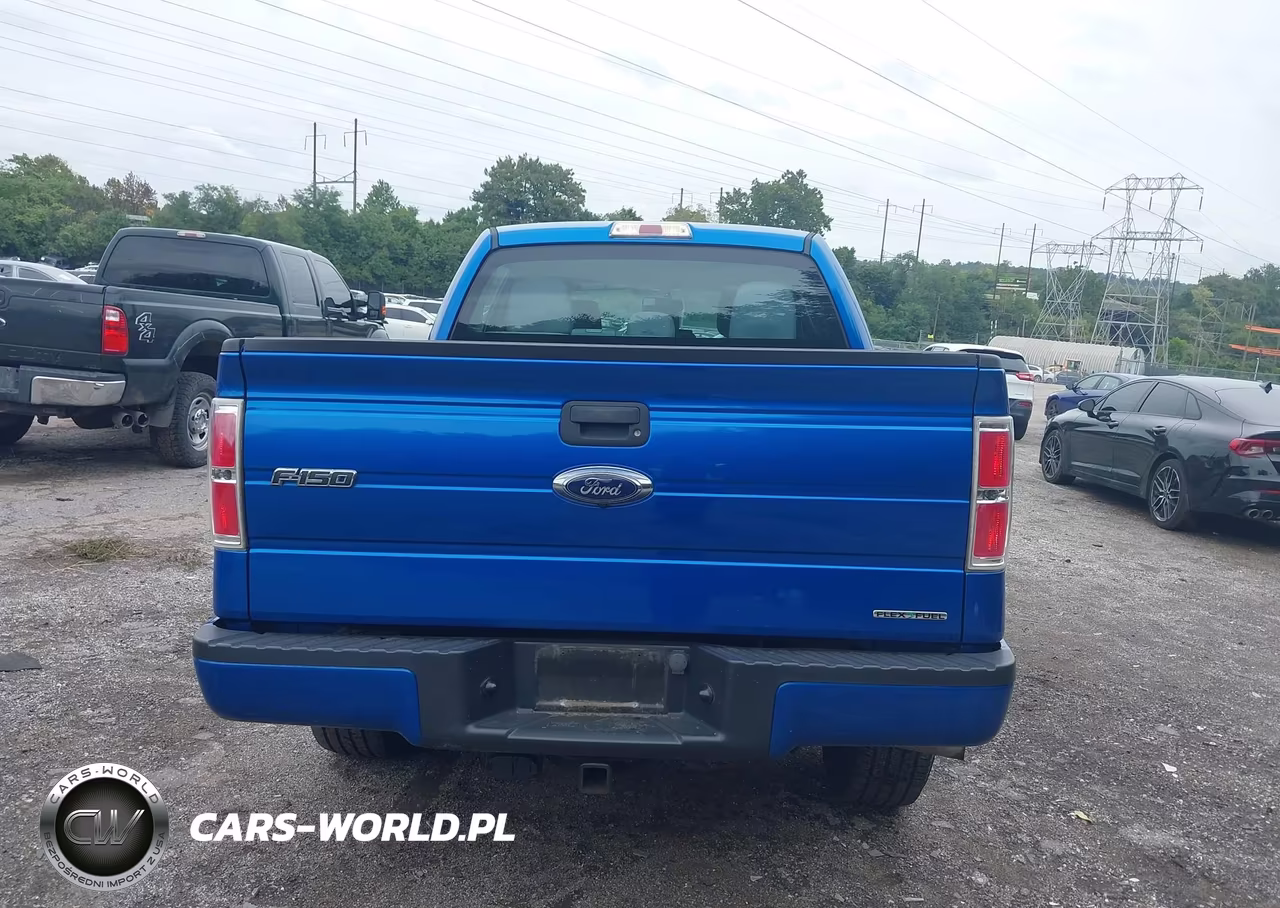 2014 Ford F-150 Stx VIN:1FTFW1EF8EFA54145 - 16