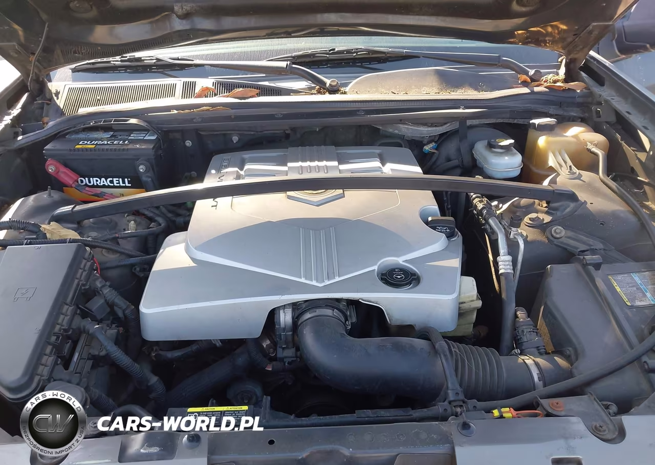 2005 Cadillac Srx V6 VIN:1GYEE637850191204 - 10
