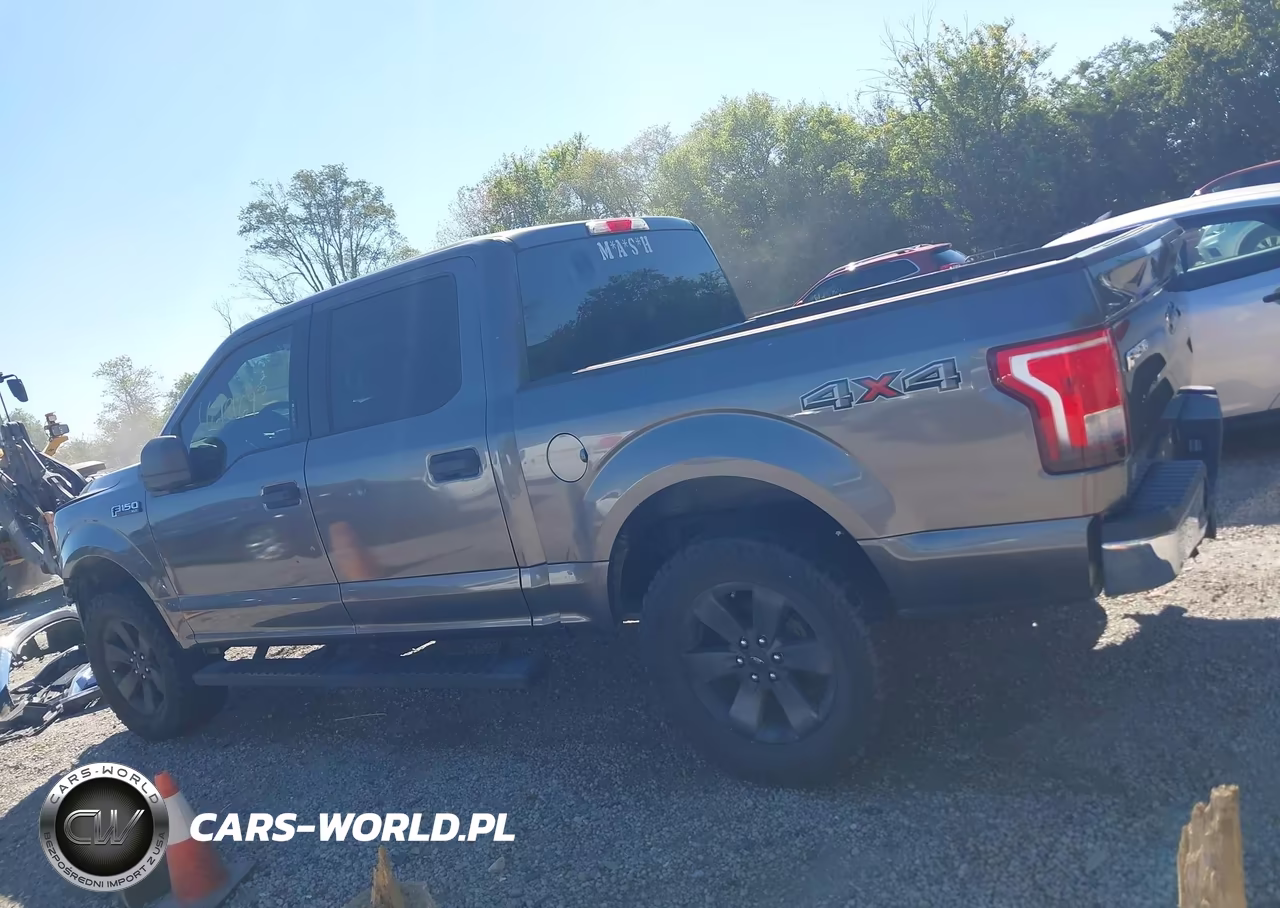 2017 Ford F-150 Xlt VIN:1FTEW1E80HKD11386 - 15