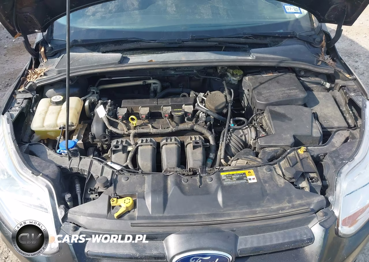 2013 Ford Focus Se VIN:1FADP3K25DL117550 - 10