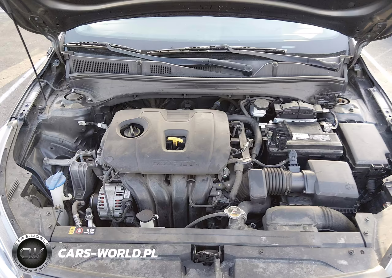 2019 Kia Forte Fe VIN:3KPF24AD7KE110244 - 10