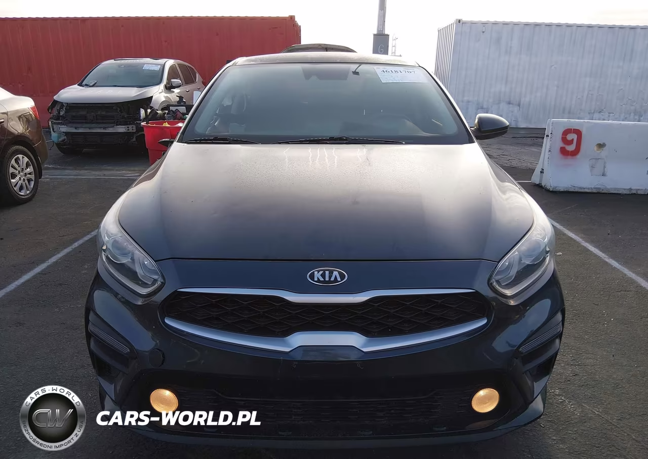 2019 Kia Forte Fe VIN:3KPF24AD7KE110244 - 12