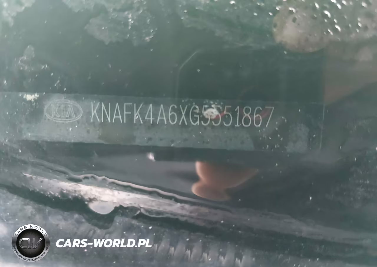 2016 Kia Forte Lx VIN:KNAFK4A6XG5551867 - 9