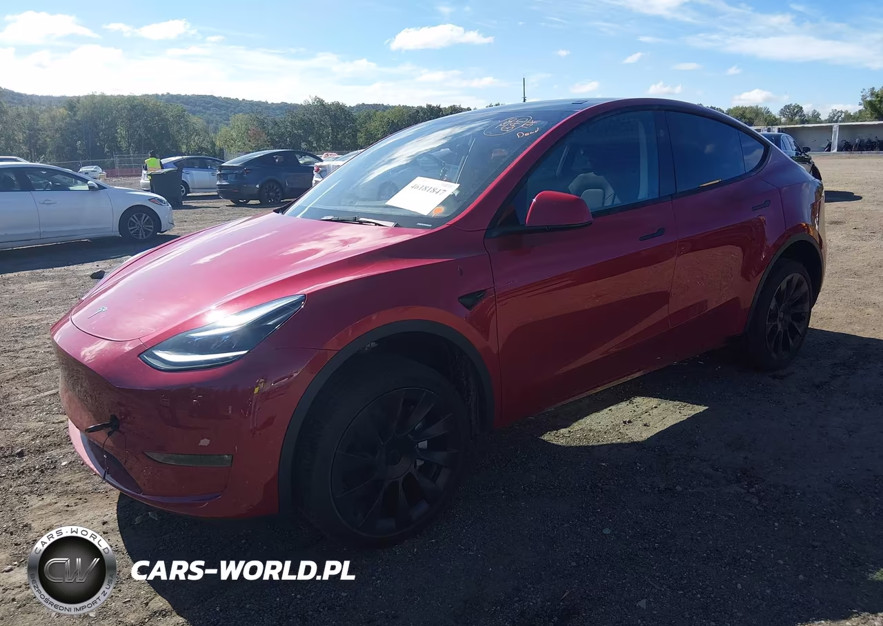 2023 Tesla Model Y VIN:7SAYGDEE8PA150041 - 2