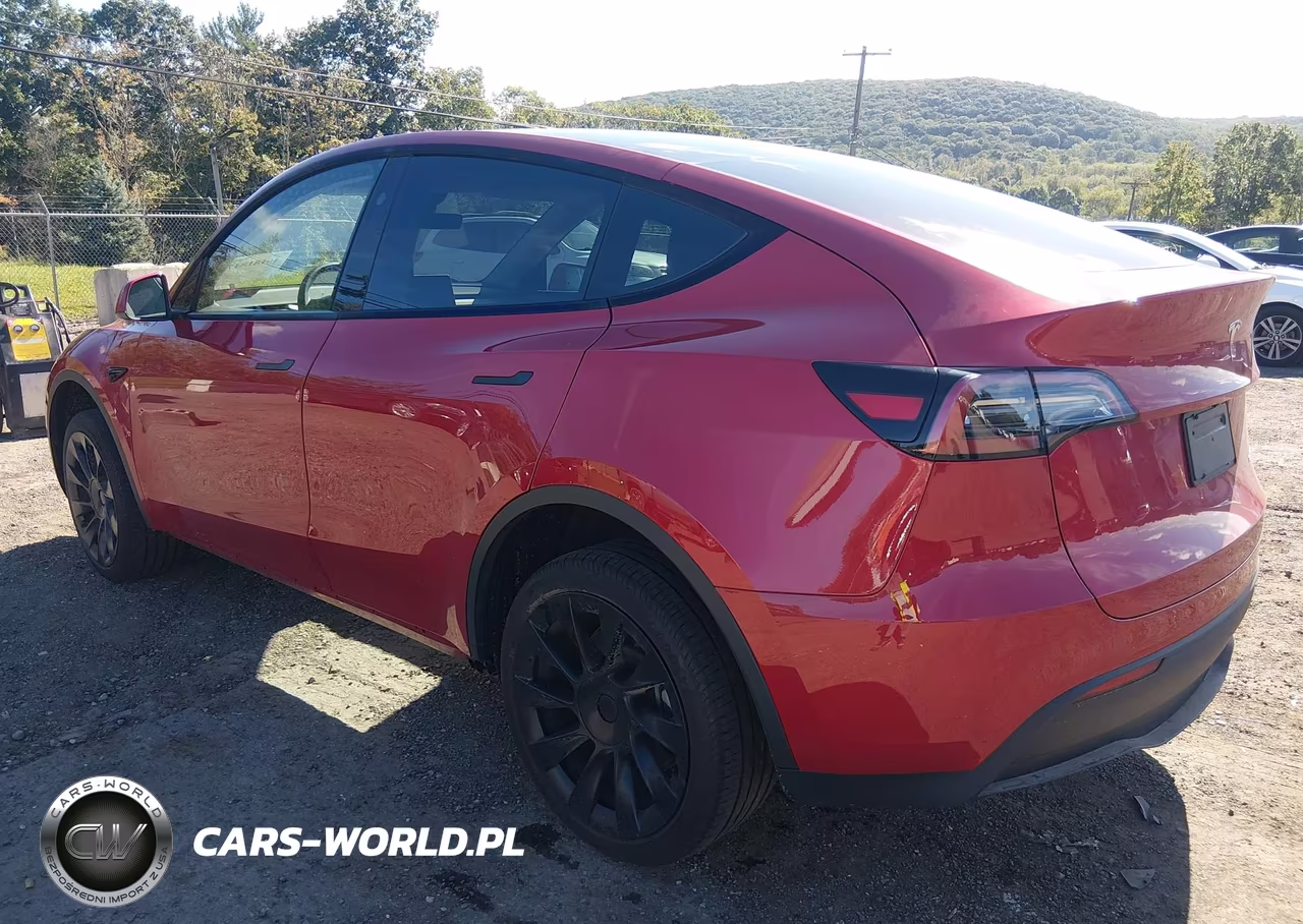2023 Tesla Model Y VIN:7SAYGDEE8PA150041 - 3