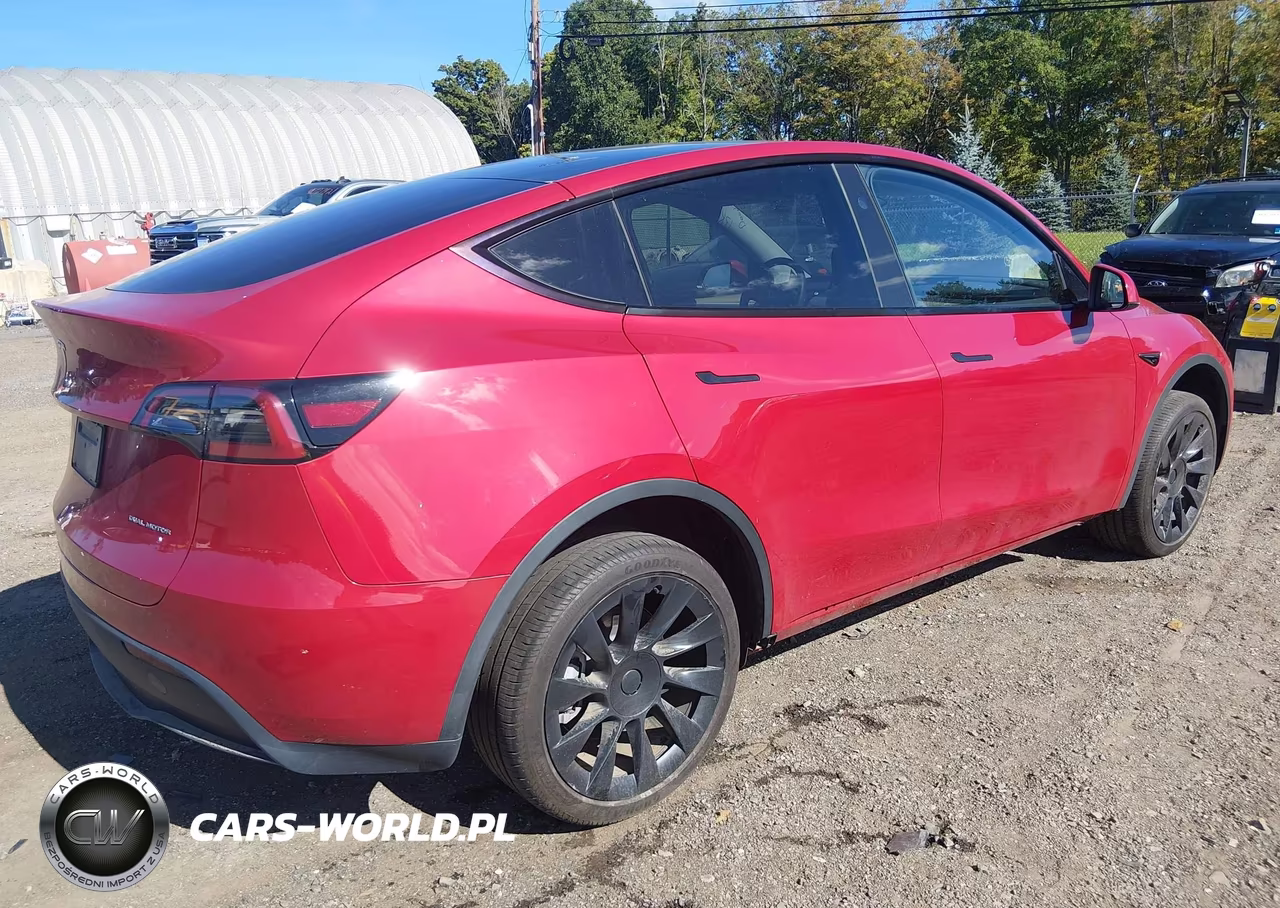 2023 Tesla Model Y VIN:7SAYGDEE8PA150041 - 4