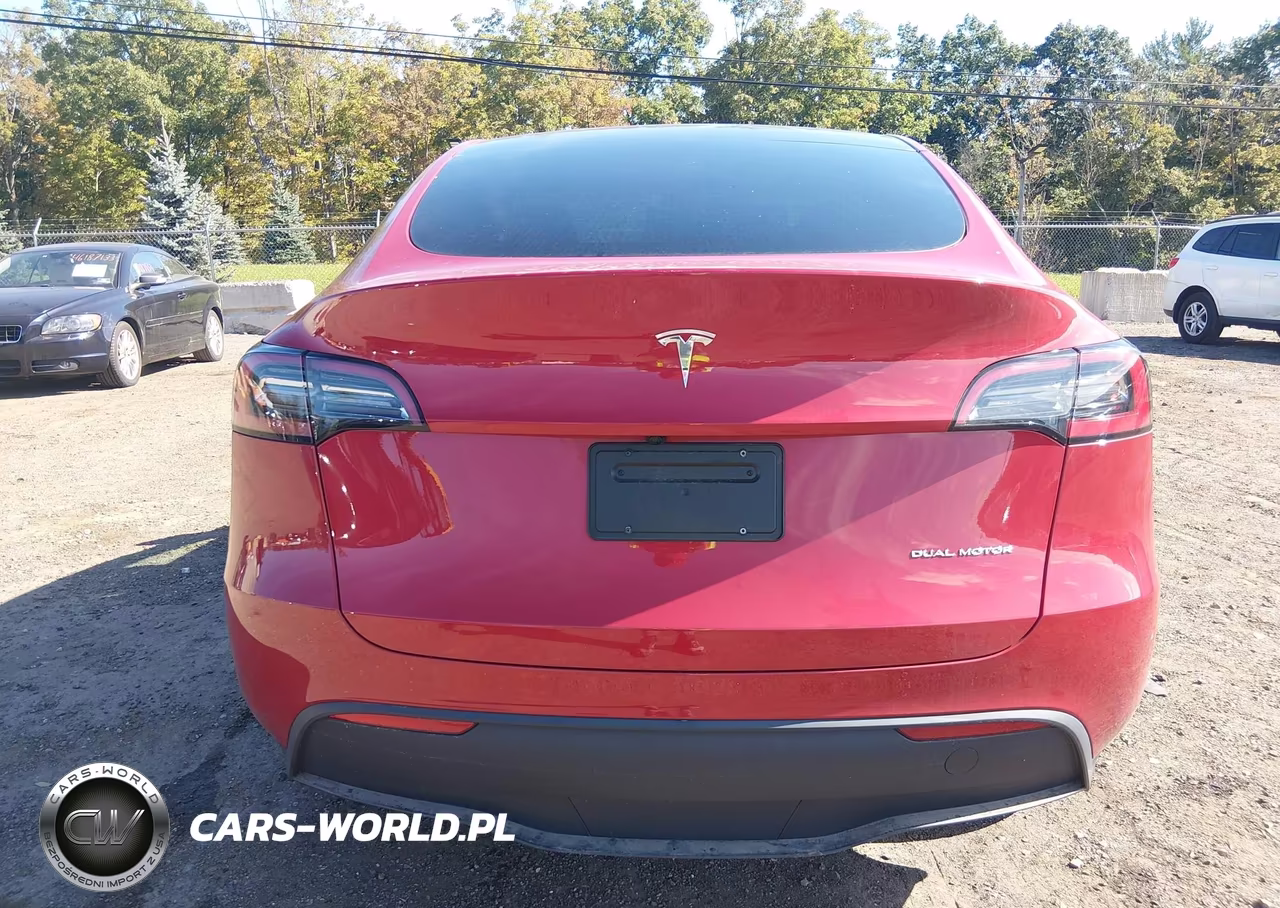 2023 Tesla Model Y VIN:7SAYGDEE8PA150041 - 6