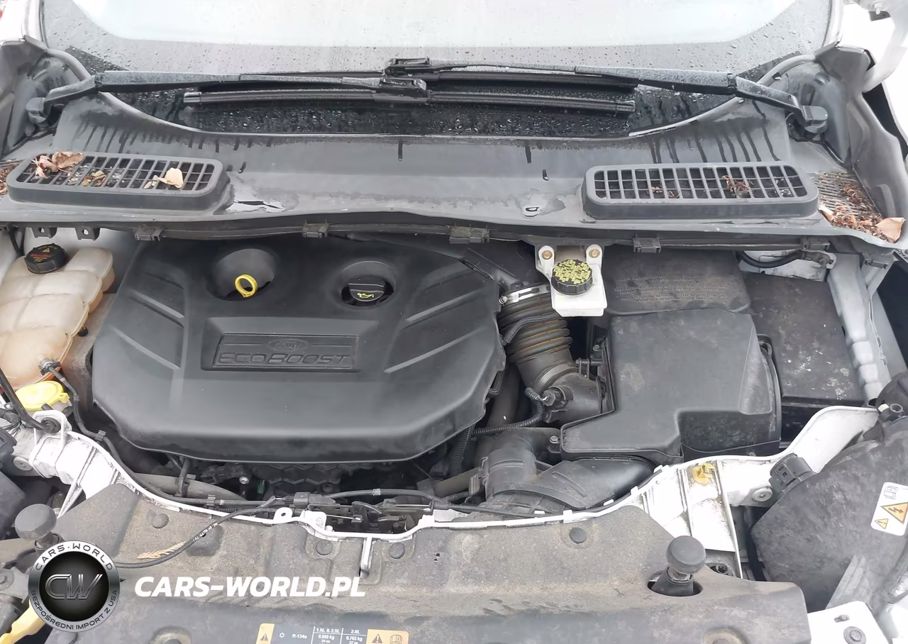 2014 Ford Escape Titanium VIN:1FMCU9J93EUB64941 - 10