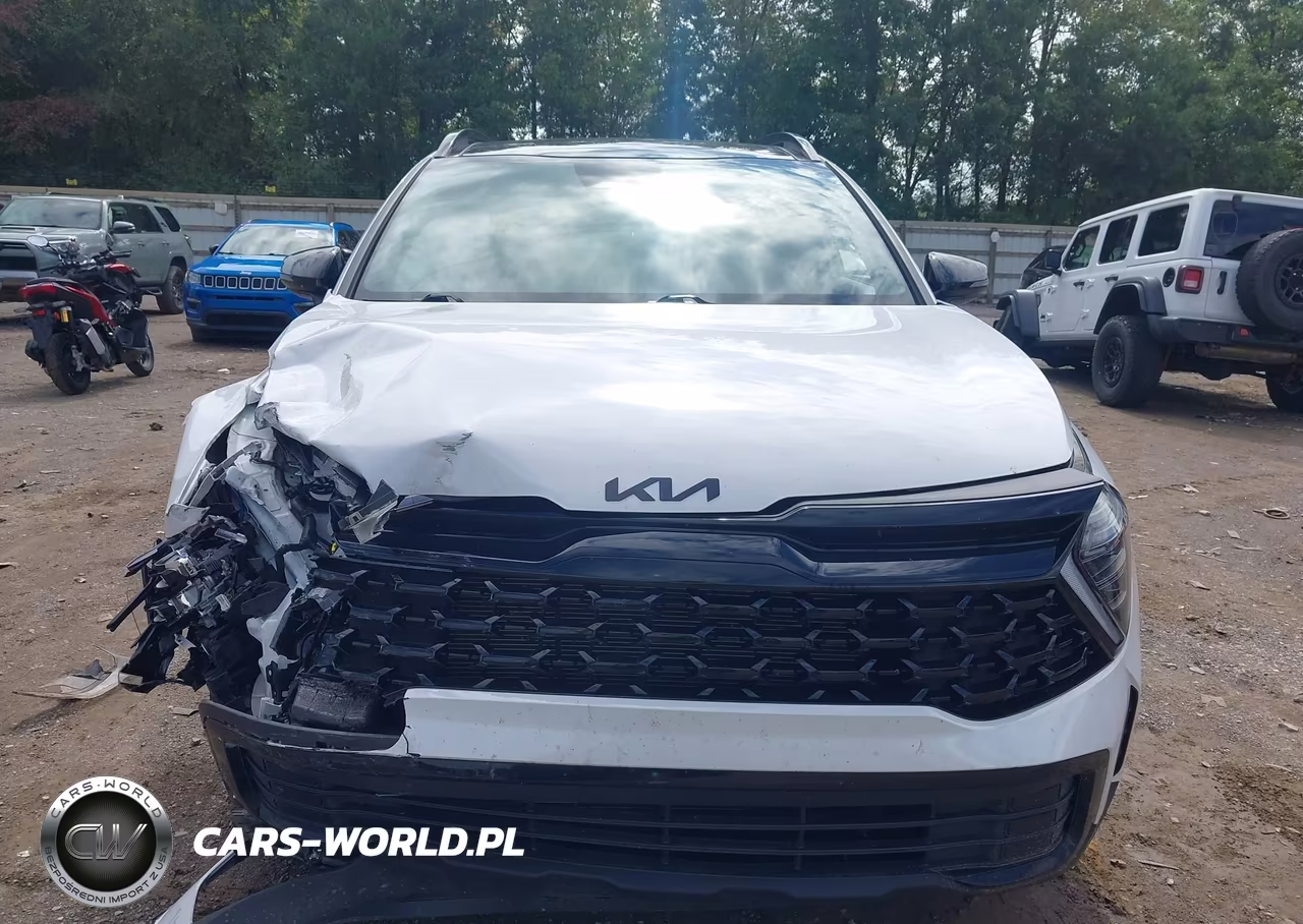 2025 Kia Sportage X-Line VIN:5XYK6CDF3SG303455 - 12