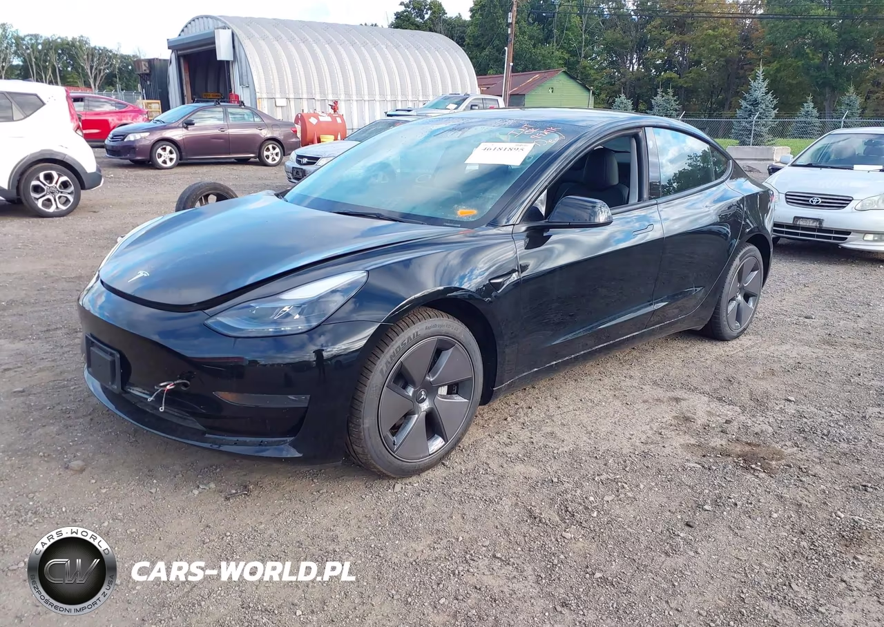2023 Tesla Model 3 Rear-Wheel Drive VIN:5YJ3E1EA2PF622200 - 2