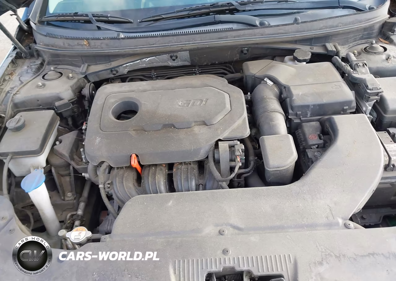 2015 Hyundai Sonata Sport VIN:5NPE34AF4FH173541 - 10