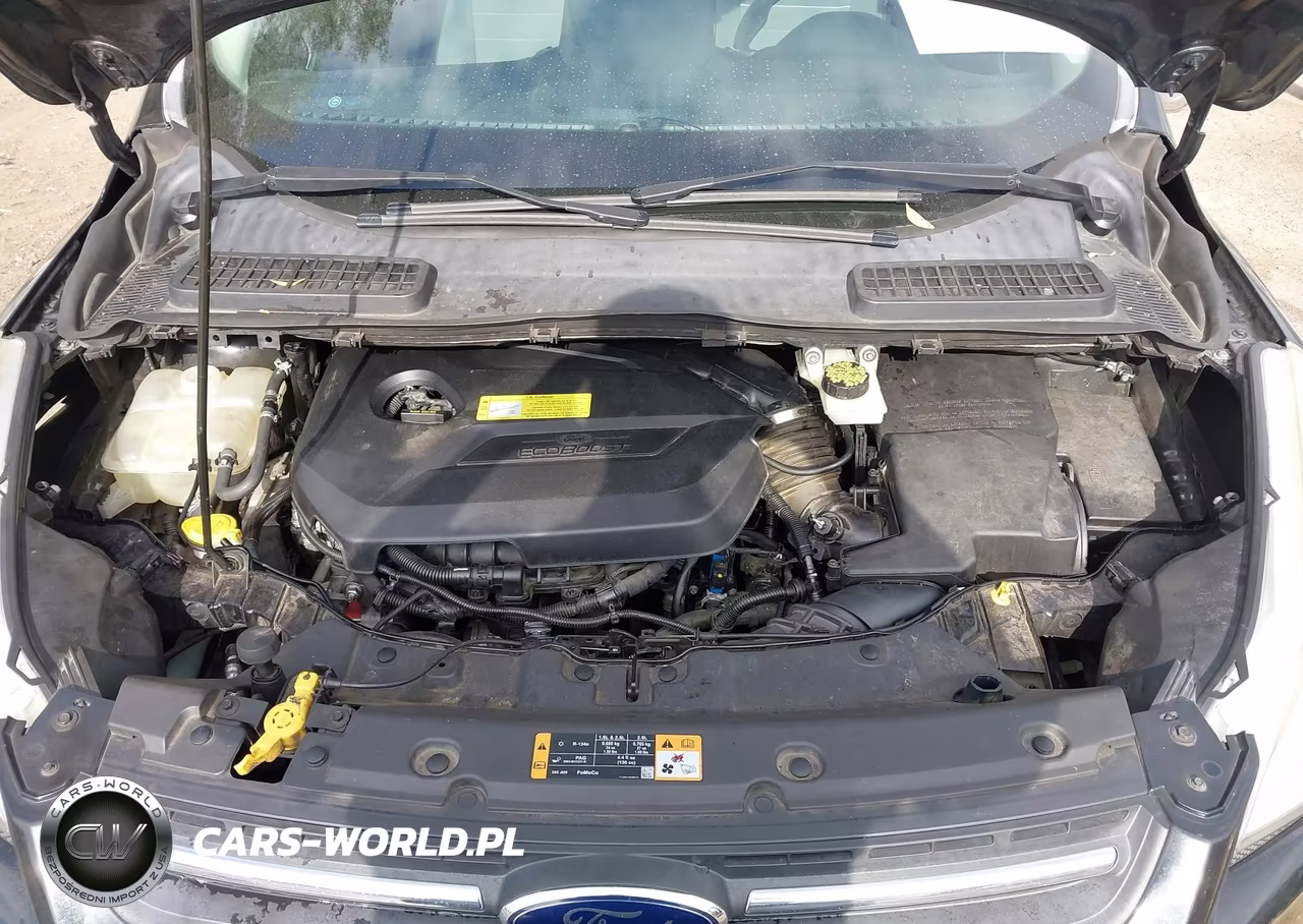 2014 Ford Escape Se VIN:1FMCU0GX2EUB47324 - 10