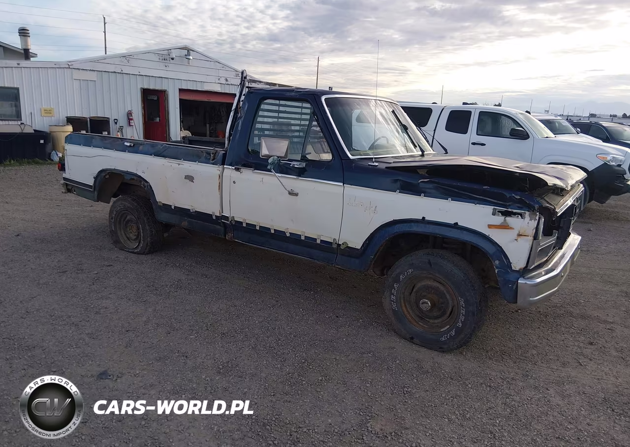 1981 Ford F150 VIN:1FTDF14E8BPA76846 - 1