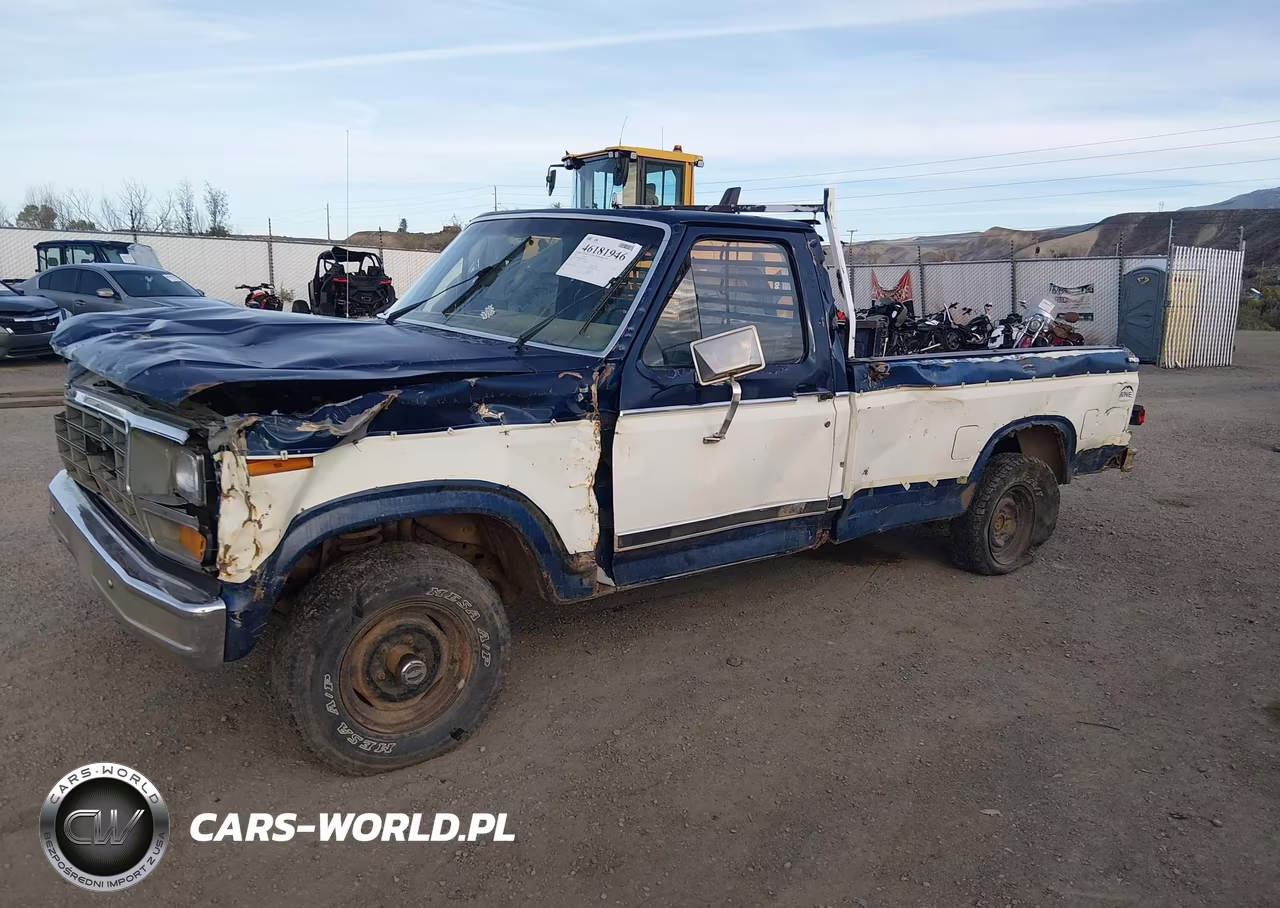 1981 Ford F150 VIN:1FTDF14E8BPA76846 - 2