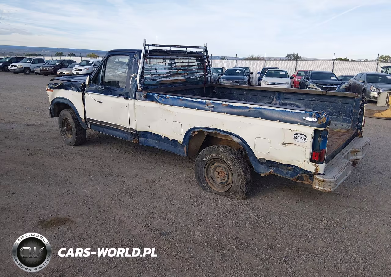 1981 Ford F150 VIN:1FTDF14E8BPA76846 - 3
